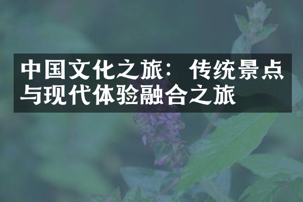 中国文化之旅：传统景点与现代体验融合之旅
