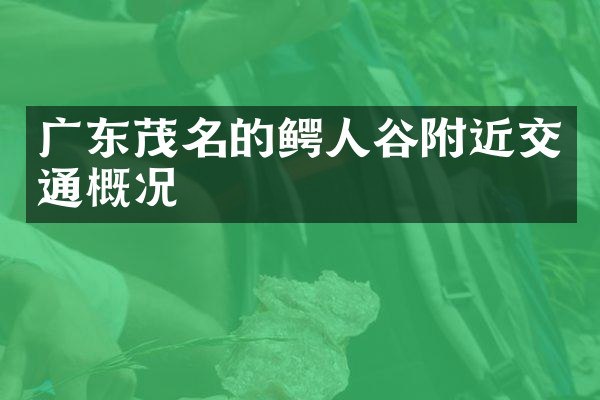 广东茂名的鳄人谷附近交通概况