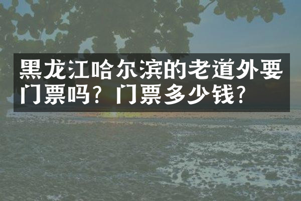 黑龙江哈尔滨的老道外要门票吗？门票多少钱？
