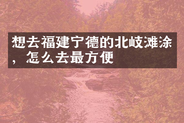 想去福建宁德的北岐滩涂，怎么去最方便