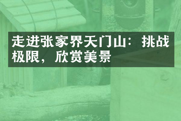 走进张家界天门山：挑战极限，欣赏美景