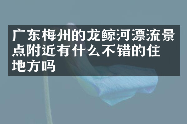 广东梅州的龙鲸河漂流景点附近有什么不错的住的地方吗