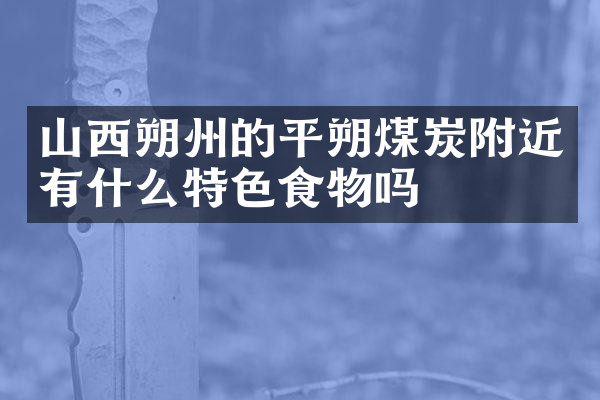 山西朔州的平朔煤炭附近有什么特色食物吗