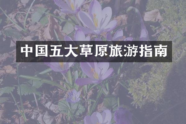 中国五大草原旅游指南