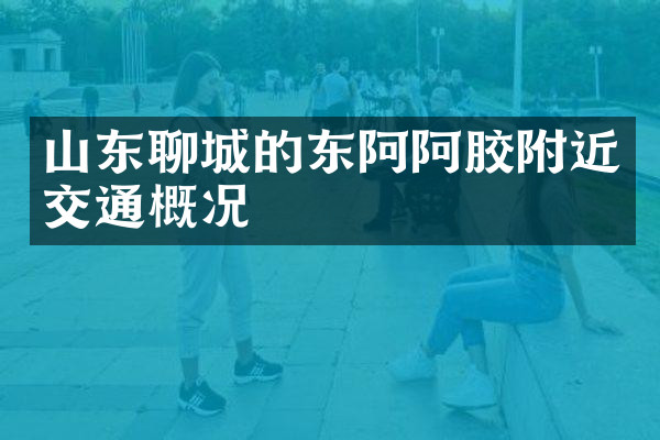 山东聊城的东阿阿胶附近交通概况