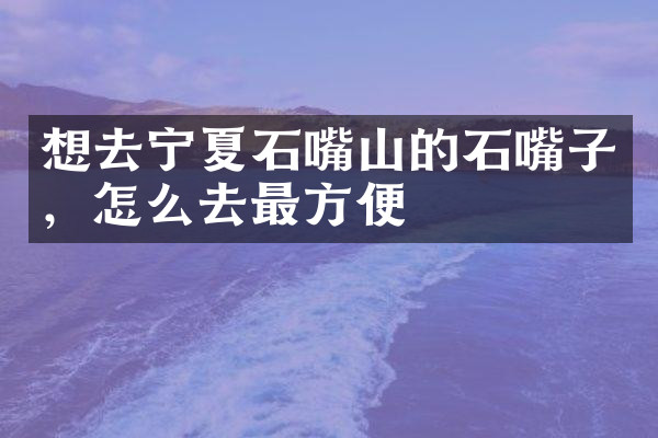 想去宁夏石嘴山的石嘴子，怎么去最方便