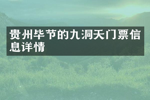 贵州毕节的九洞天门票信息详情