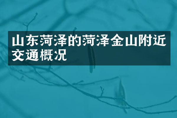 山东菏泽的菏泽金山附近交通概况