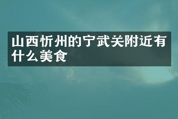 山西忻州的宁武关附近有什么美食