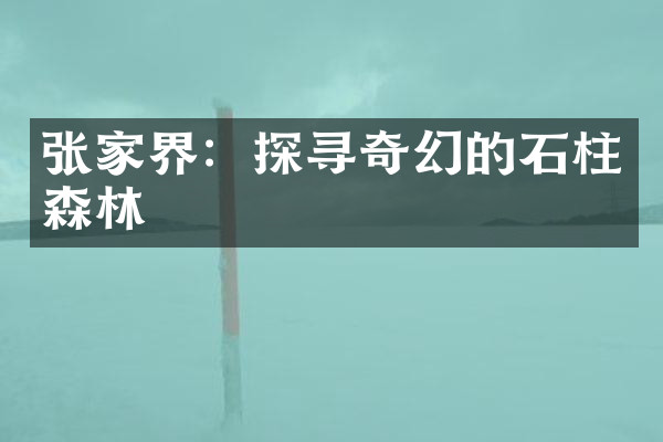 张家界：探寻奇幻的石柱森林