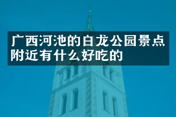 广西河池的白龙公园景点附近有什么好吃的