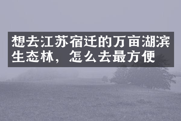 想去江苏宿迁的万亩湖滨生态林，怎么去最方便