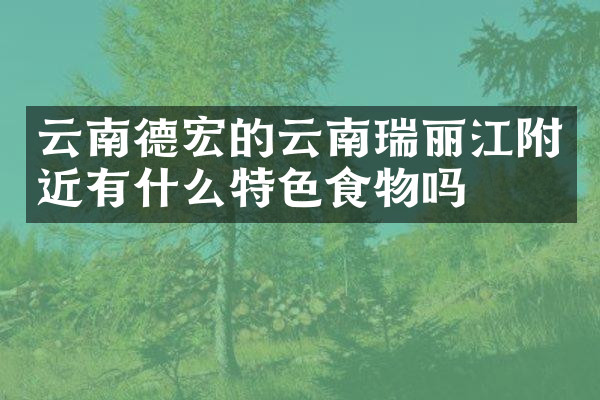 云南德宏的云南瑞丽江附近有什么特色食物吗