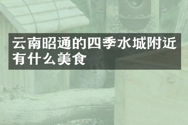 云南昭通的四季水城附近有什么美食