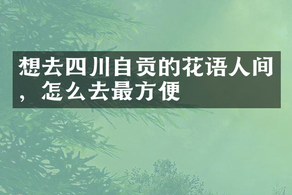 想去四川自贡的花语人间，怎么去最方便