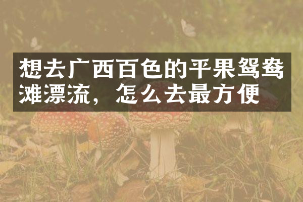 想去广西百色的平果鸳鸯滩漂流，怎么去最方便