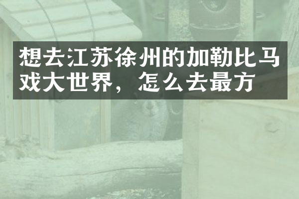 想去江苏徐州的加勒比马戏大世界，怎么去最方便