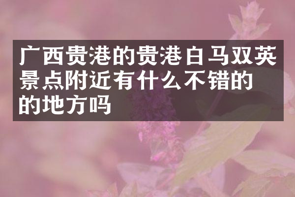 广西贵港的贵港白马双英景点附近有什么不错的住的地方吗