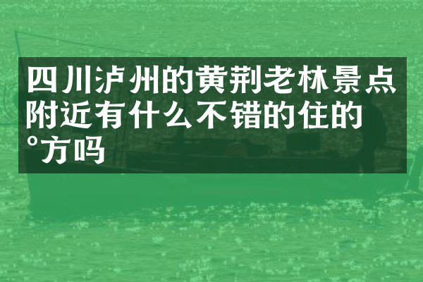 四川泸州的黄荆老林景点附近有什么不错的住的地方吗