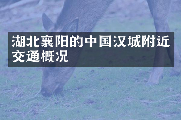 湖北襄阳的中国汉城附近交通概况