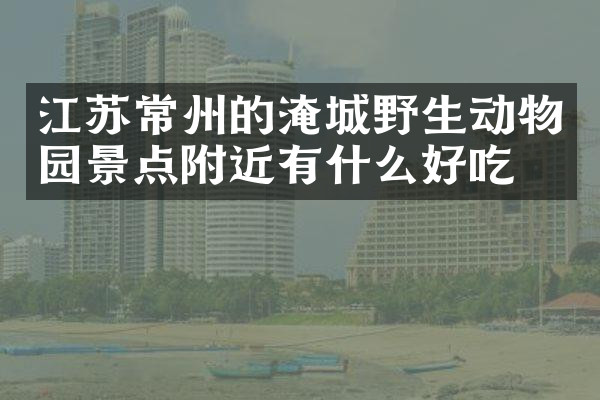 江苏常州的淹城野生动物园景点附近有什么好吃的