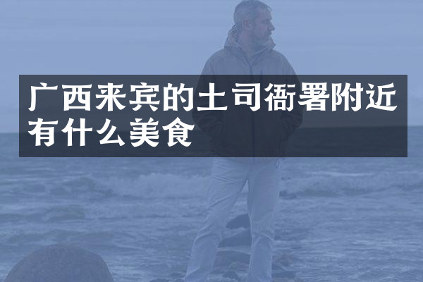 广西来宾的土司衙署附近有什么美食