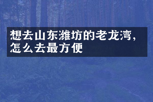 想去山东潍坊的老龙湾，怎么去最方便