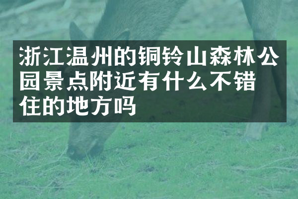 浙江温州的铜铃山森林公园景点附近有什么不错的住的地方吗