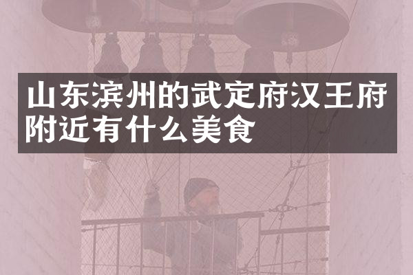 山东滨州的武定府汉王府附近有什么美食