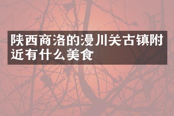 陕西商洛的漫川关古镇附近有什么美食