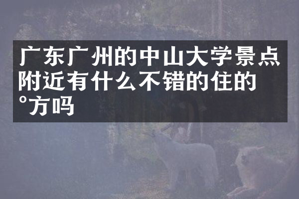 广东广州的中山大学景点附近有什么不错的住的地方吗