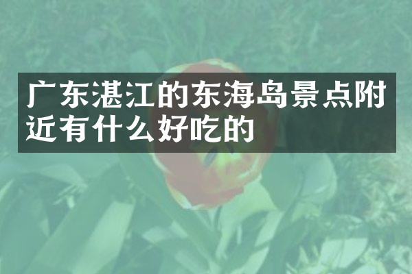 广东湛江的东海岛景点附近有什么好吃的