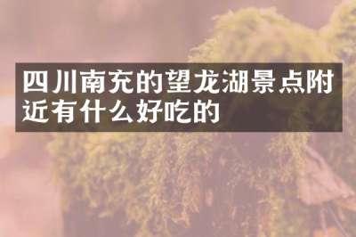 四川南充的望龙湖景点附近有什么好吃的