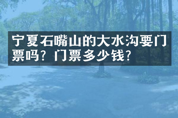 宁夏石嘴山的大水沟要门票吗？门票多少钱？