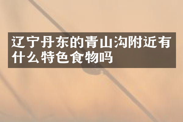 辽宁丹东的青山沟附近有什么特色食物吗