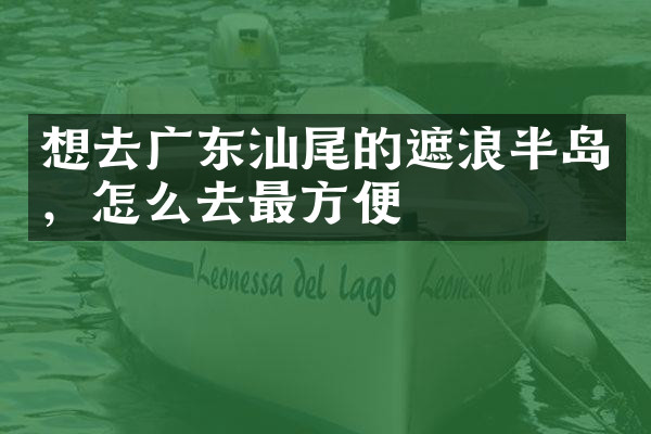 想去广东汕尾的遮浪半岛，怎么去最方便