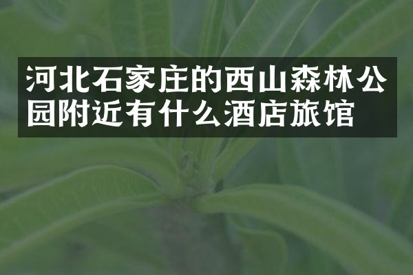 河北石家庄的西山森林公园附近有什么酒店旅馆吗