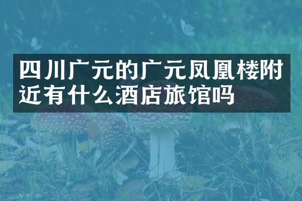 四川广元的广元凤凰楼附近有什么酒店旅馆吗