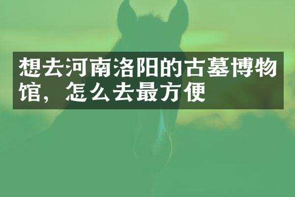 想去河南洛阳的古墓博物馆，怎么去最方便