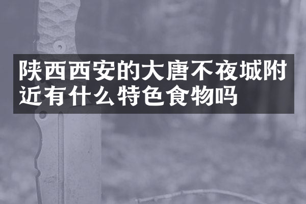陕西西安的大唐不夜城附近有什么特色食物吗
