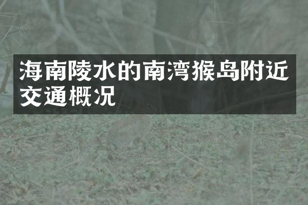 海南陵水的南湾猴岛附近交通概况