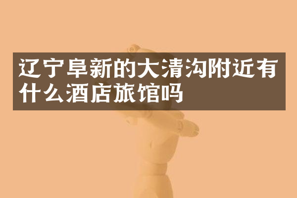 辽宁阜新的大清沟附近有什么酒店旅馆吗