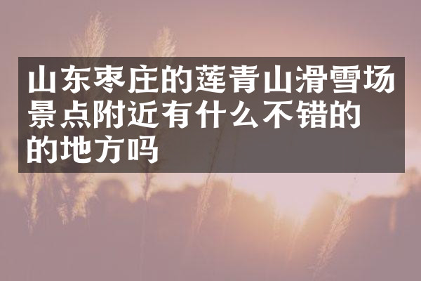 山东枣庄的莲青山滑雪场景点附近有什么不错的住的地方吗