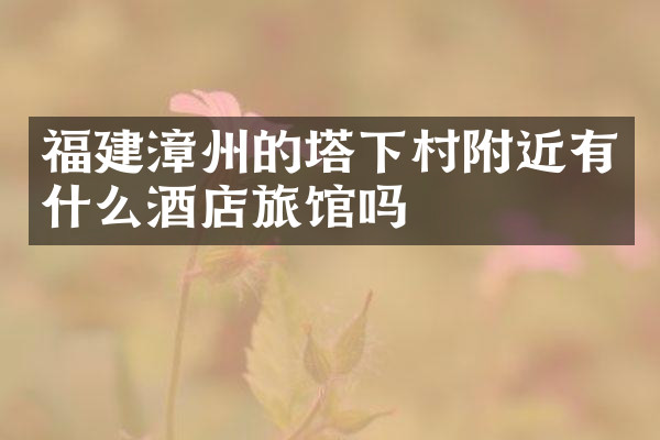 福建漳州的塔下村附近有什么酒店旅馆吗
