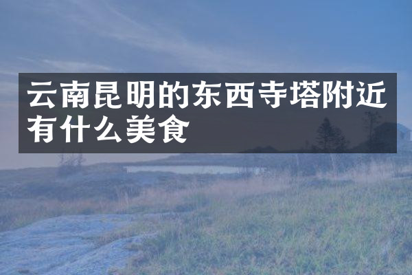云南昆明的东西寺塔附近有什么美食