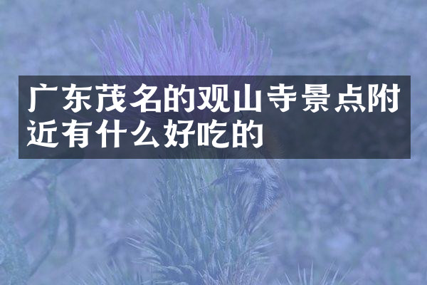 广东茂名的观山寺景点附近有什么好吃的
