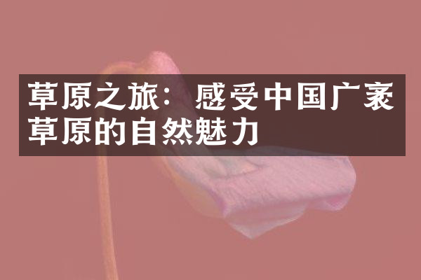草原之旅：感受中国广袤草原的自然魅力
