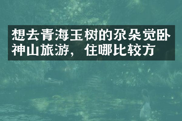 想去青海玉树的尕朵觉卧神山旅游，住哪比较方便