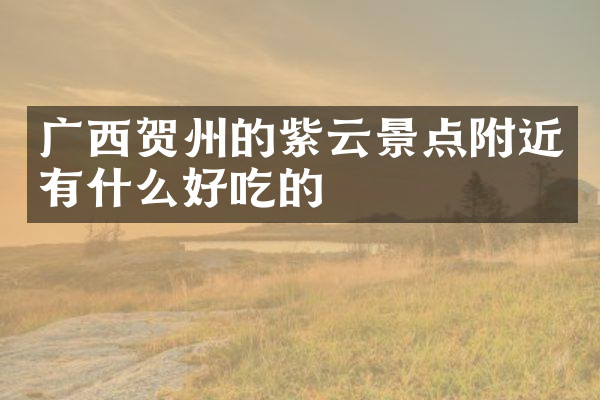 广西贺州的紫云景点附近有什么好吃的