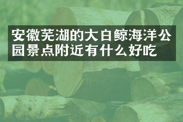 安徽芜湖的大白鲸海洋公园景点附近有什么好吃的